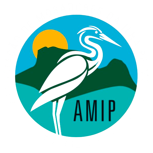 AMIP_LOGO-transparente-letras-brancas