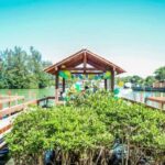 470143785_1955131271647232_53076824720470956_n 470143785_1955131271647232_53076824720470956_n